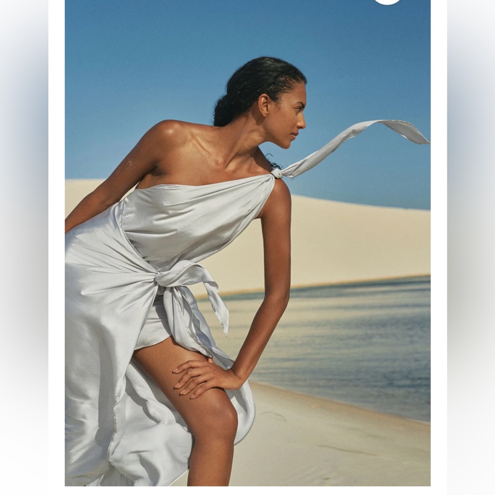 NWT BAOBAB MAREA DRESS IN PLATA